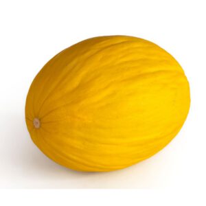 MELON ŻÓŁTY