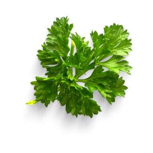 NATKA Styropian - pęczek