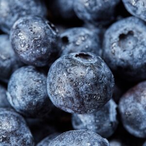 BORÓWKA ( luz op 1 kg )