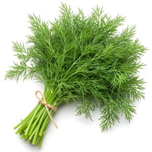 KOPER ( styropian - pęczek )