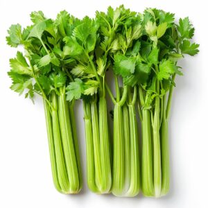 SELER NACIOWY (pęczek)