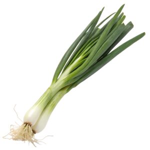 SZCZYPIOR (pęczek )